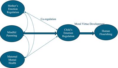 The central role of mindful parenting in child’s emotional regulation and human flourishing: a blueprint perspective